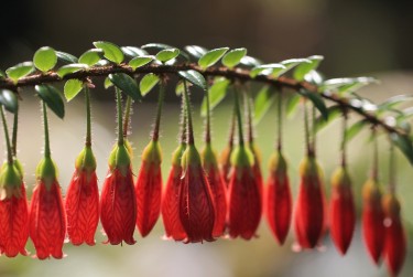 东莞厚街私人快速借钱网，轻松解决资金难题