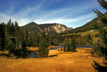 东莞厚街民间私贷攻略：揭秘低成本借贷的秘密