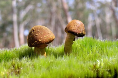 东莞厚街私人老板放款：轻松融资的秘密通道